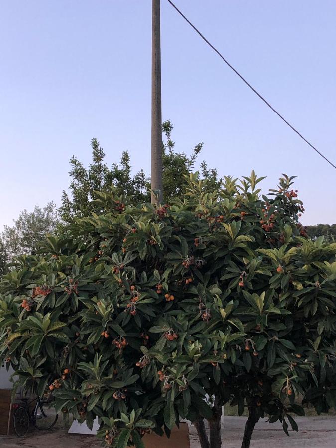 Appartamenti Jessica Peschici Bagian luar foto